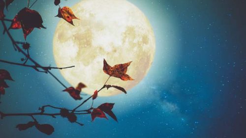 Pigen fra månehøjen – en magisk fantasy-fortælling bliver til